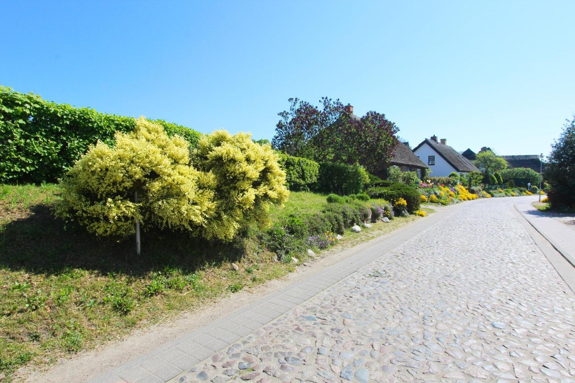 Ferienwohnung Mit Meerblick Und Gartennutzung - Haus Inselwind Fewo Meerstrand Gross Zicker Екстер'єр фото